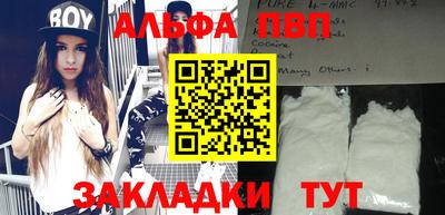 индика Ставрополь