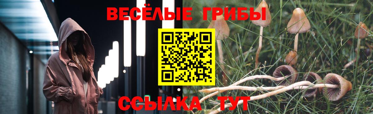 Псилоцибиновые грибы Cubensis  Вход с VPN  Оренбург 